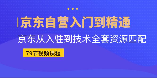 （6901期）京东自营入门到精通：京东从入驻到技术全套资源匹配（79节课）-桐创网